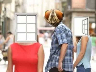 Les meilleurs mèmes&nbsp;entomologiques